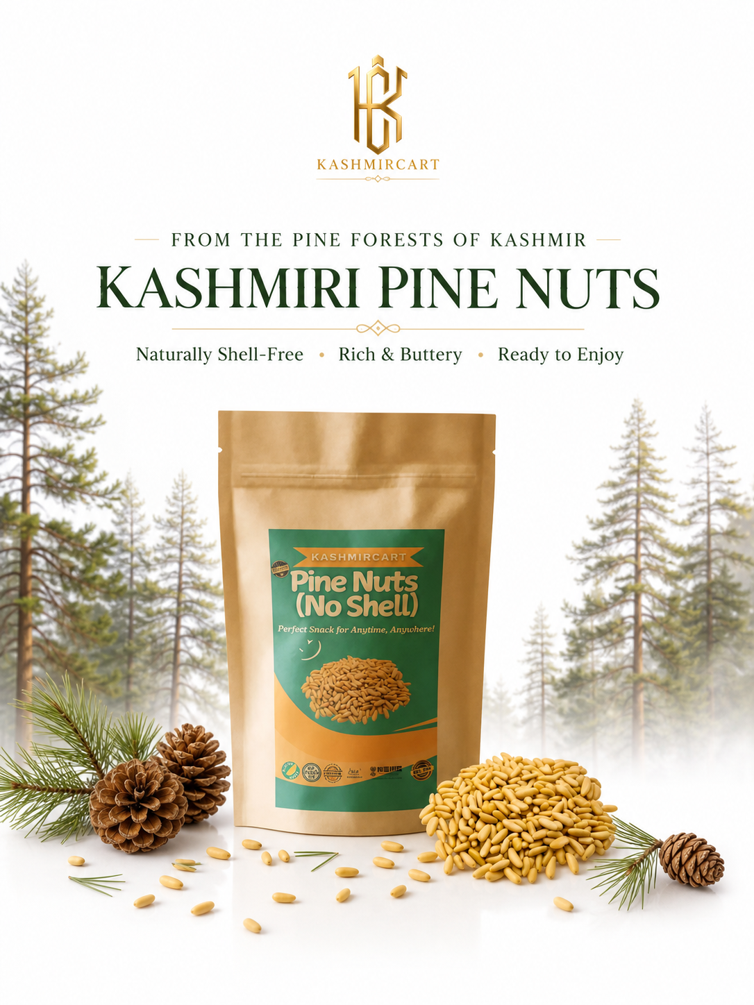Kashmiri Pine Nuts Without Shell