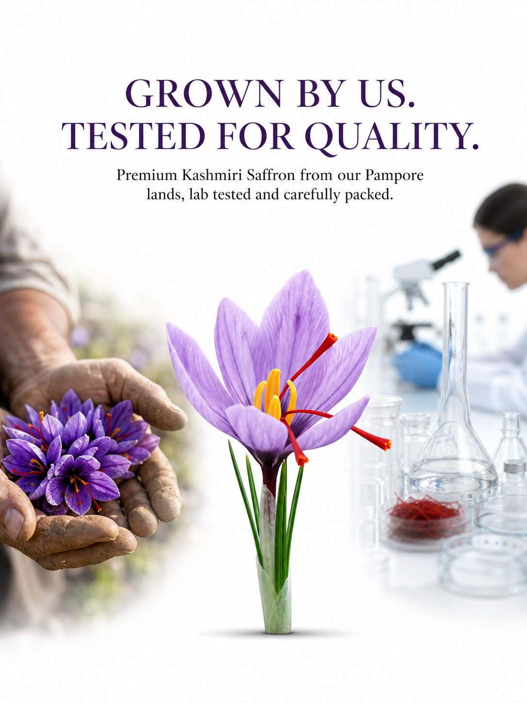 Pampore saffron lab tested Pampore saffron lab tested https://kashmircart.in/product/kashmiri-saffron-premium/