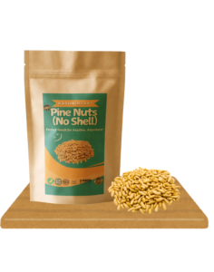 Kashmiri Pine Nuts (Without Shell)
