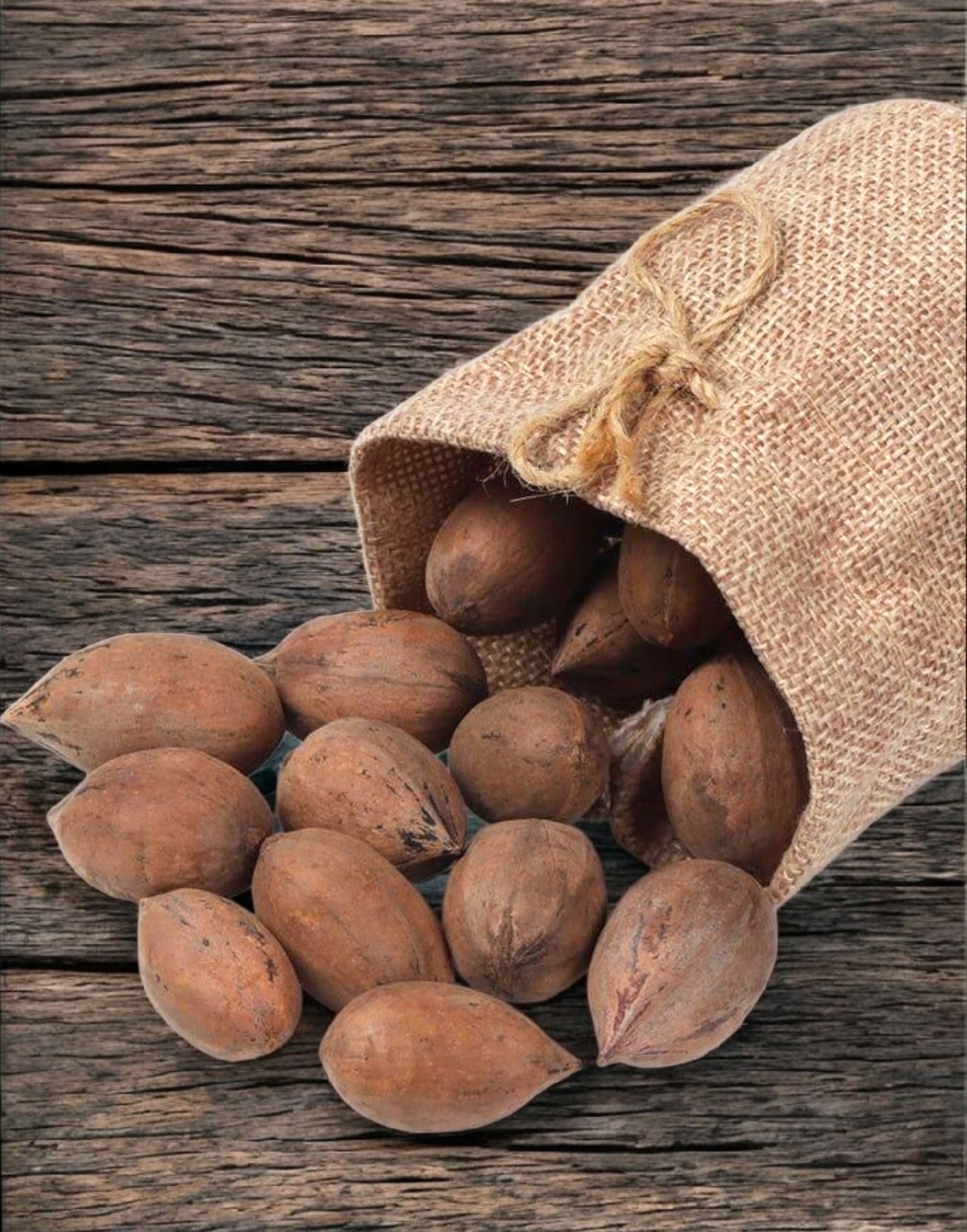 Kashmiri Pecan Nuts