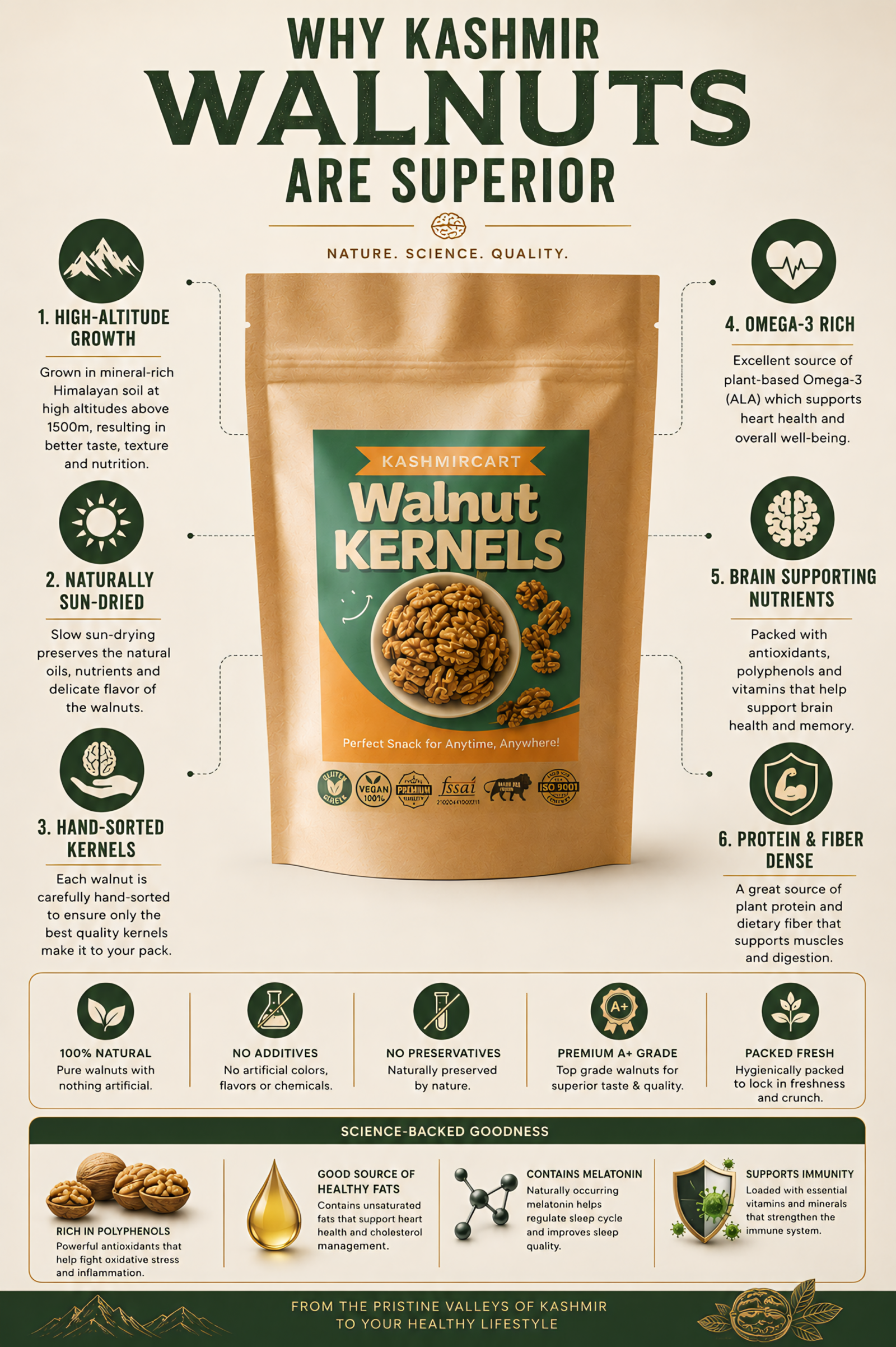 Kashmircart A+ Grade Walnut Kernels from Kashmir