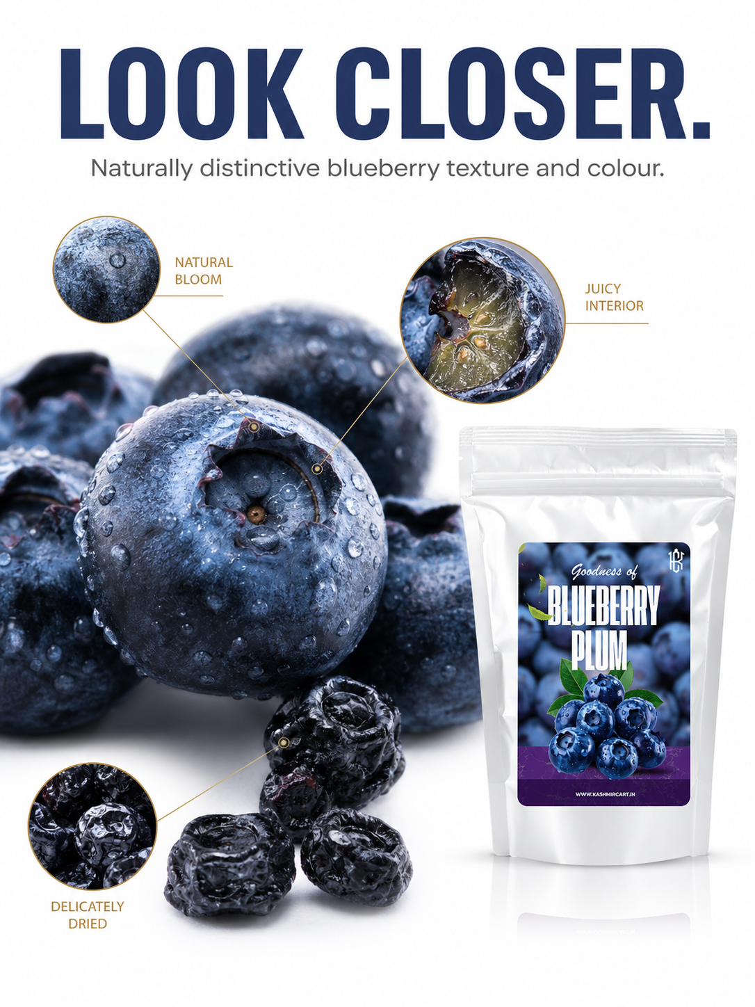 Blueberry plum Blueberry plum 1 1 https://kashmircart.in/product/blueberry-plum/
