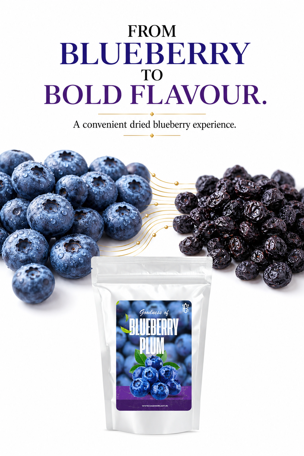 Dried blueberry plum Dried blueberry plum https://kashmircart.in/product/blueberry-plum/