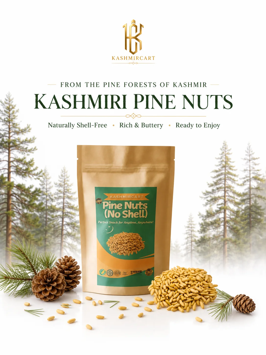 Kashmiri Pine Nut Kernels