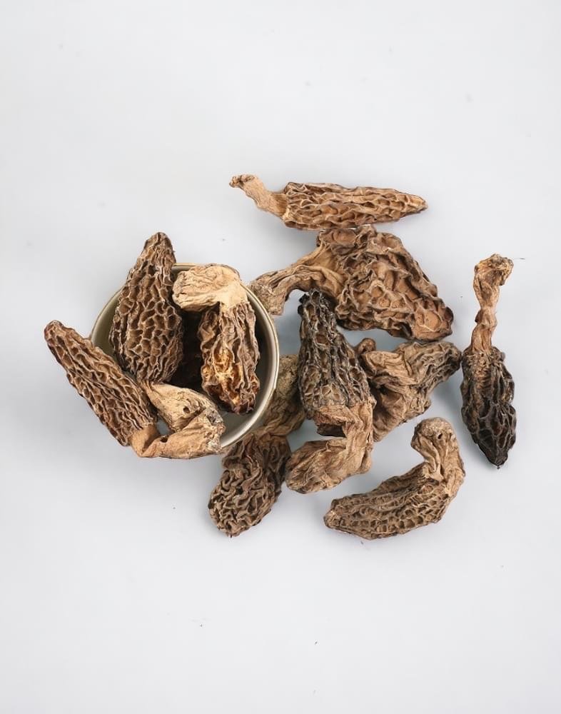 PhotoRoom-20240205_091853 PhotoRoom 20240205 091853 https://kashmircart.in/product/jumbo-gucchi-mushrooms-from-kashmir/