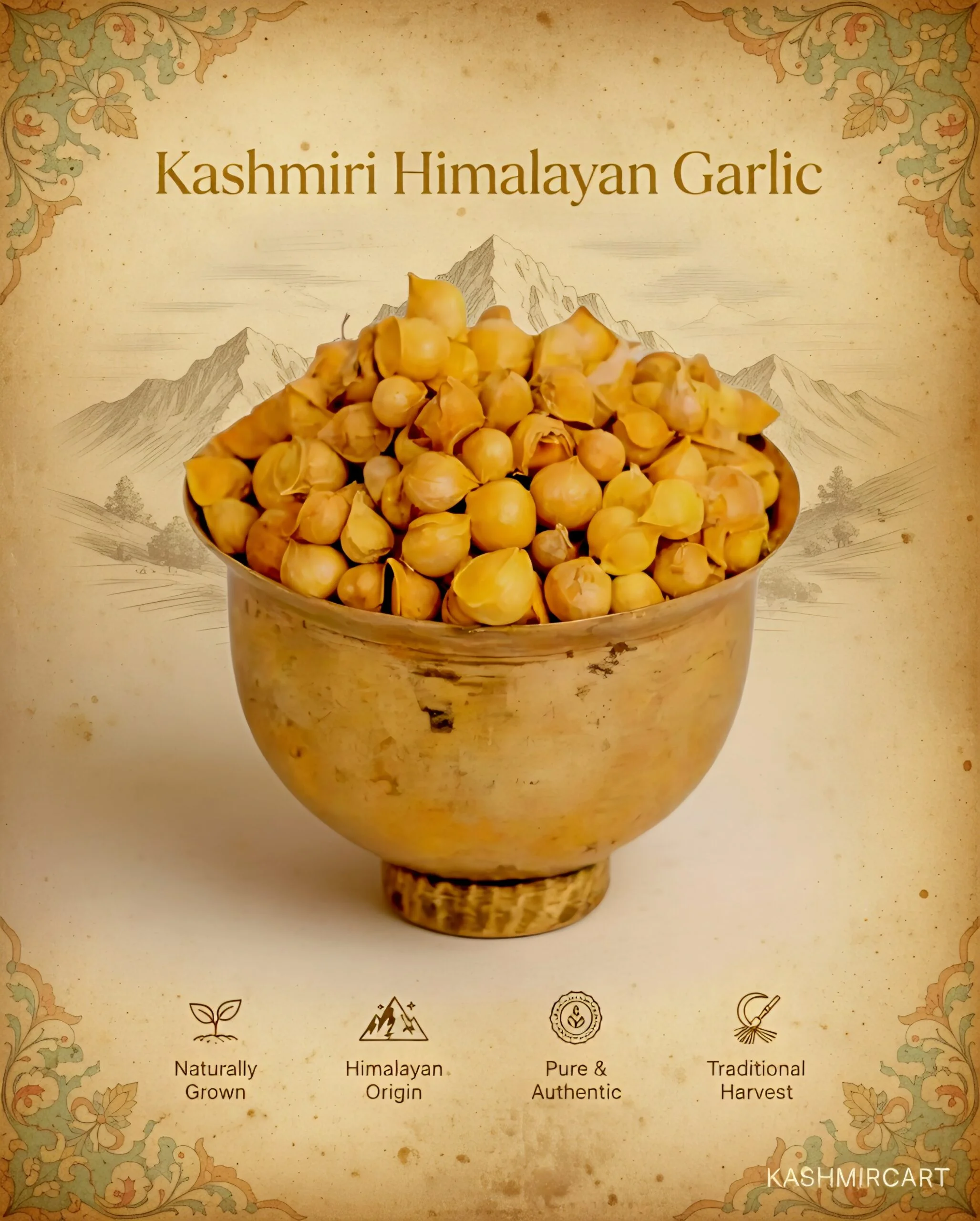 Kashmiri Himalayan Garlic – Organic High-Altitude Farm Fresh Garlic from Kashmir