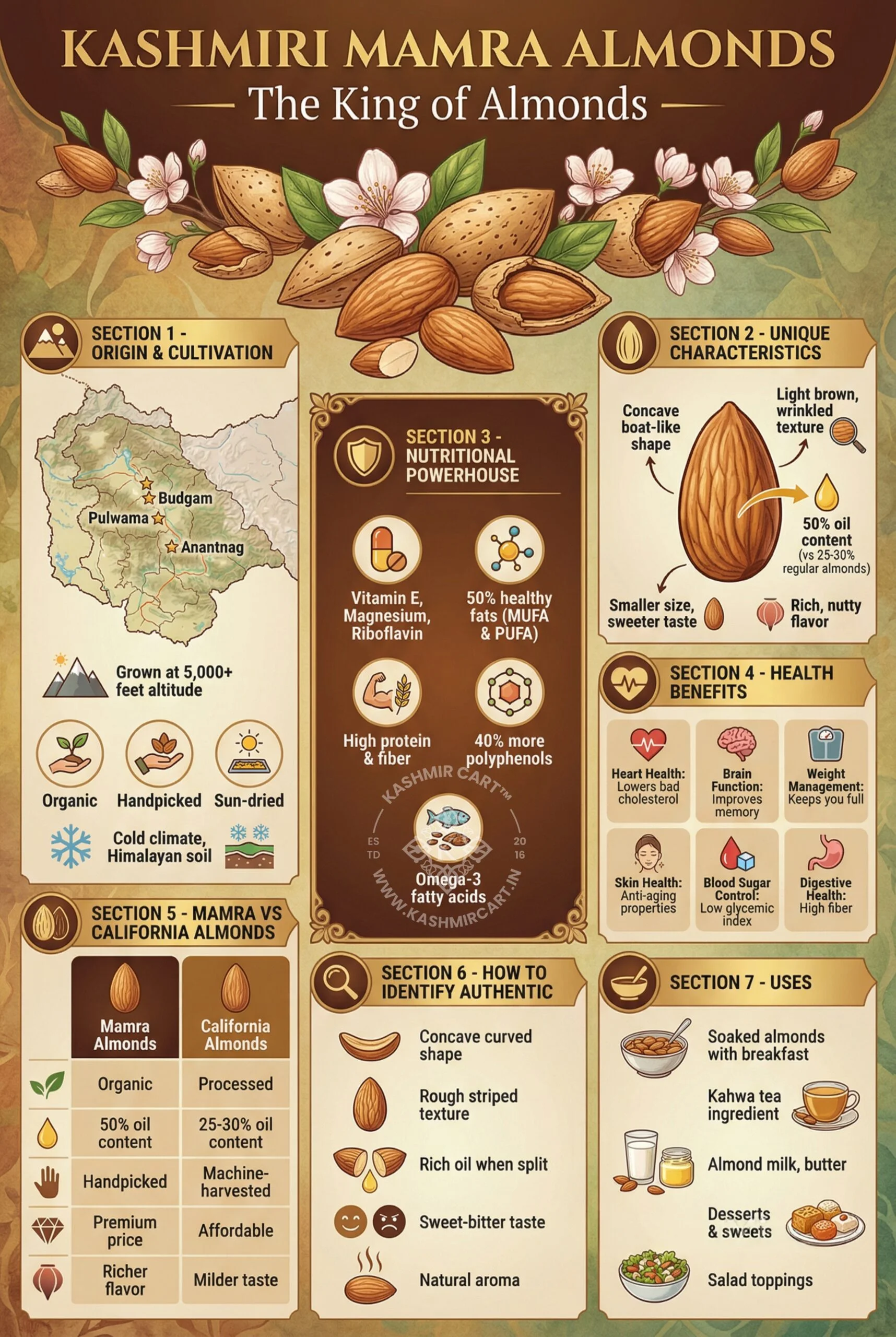 Infographic about Kashmiri Mamra Almonds