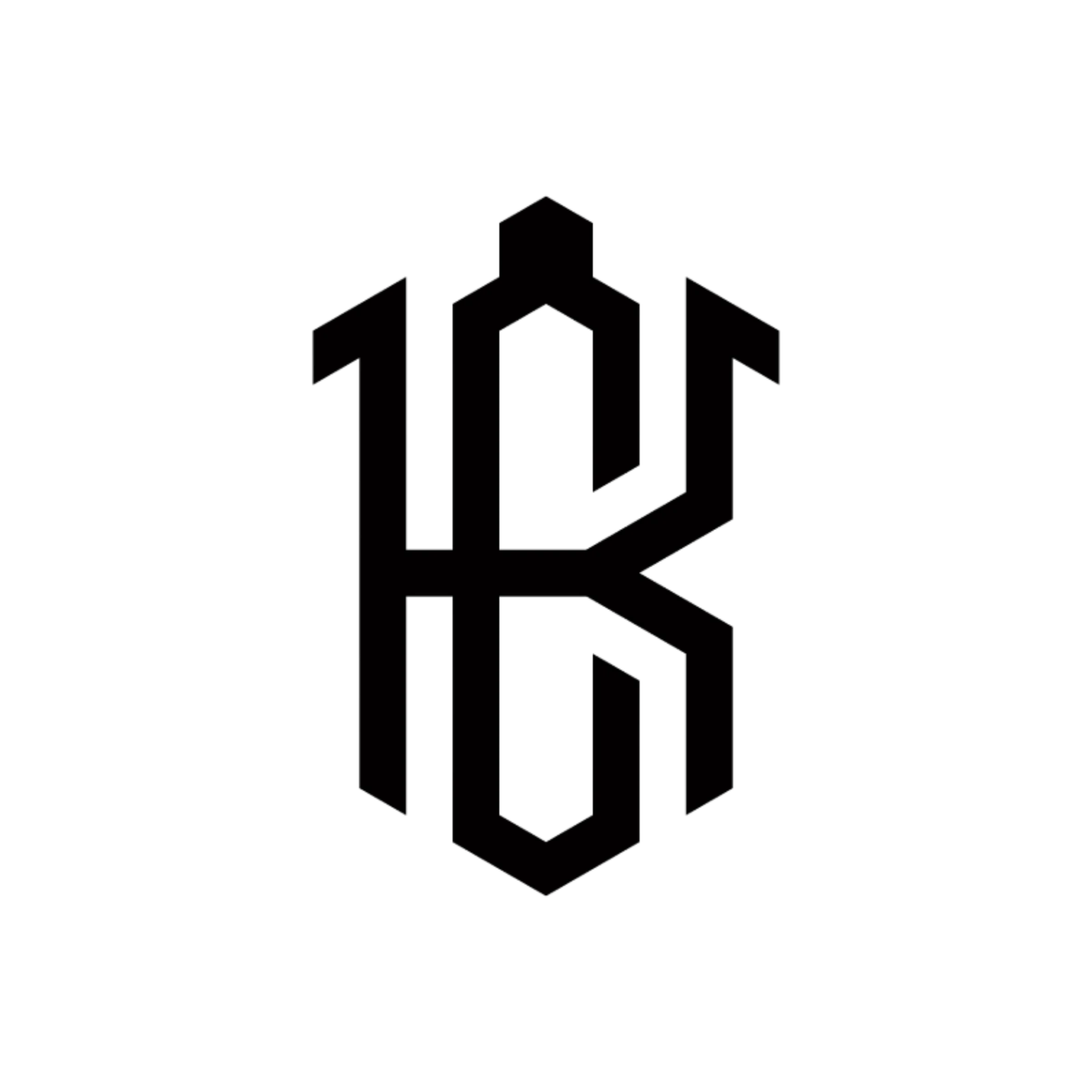 KASHMIRCART OFFICIAL LOGO